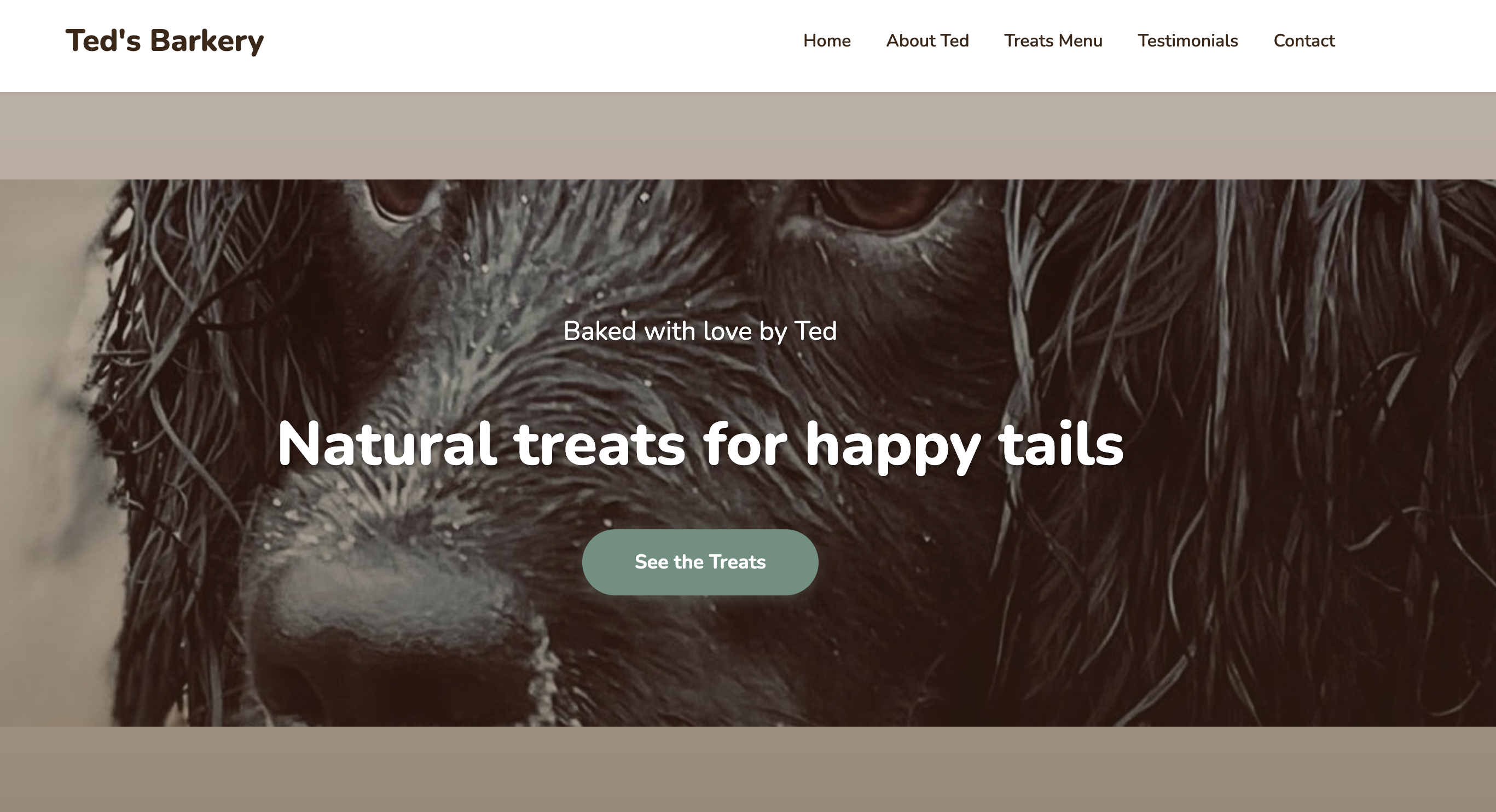 Ted's Barkery website screenshot
